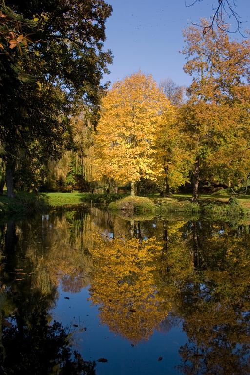 Manoir Du Plessix Meen Pluduno Buitenkant foto